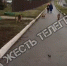 «Когда мы будем чувствовать себя в безопасности?»: туляки жалуются на стаю бродячих собак возле школы - ИА Тульская пресса.Ru