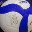 volley_ball - Tula-Sport.Ru
