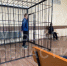 Житель Донского получил 10 лет колонии строгого режима за смертельное избиение - ГТРК