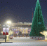 Какая погода ждет туляков на Новый год: прогноз синоптиков - ТК Первый Тульский