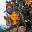 AppaФото_DSC_8097.jpg - Myslo.Ru