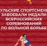 Тульские спортсмены завоевали медали Всероссийских соревнований по вольной борьбе - Министерство спорта