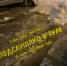 В Туле прорвало сеть горячего водоснабжения - ИА Тульская пресса.Ru