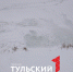 Горок для катания на тюбингах и санках в тульских парках не будет - ТК Первый Тульский