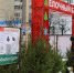 Елочные базары открылись в Туле 20 декабря - ИА Тульская служба новостей