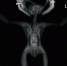 Bxfmk_Z53S8.jpg - Myslo.Ru