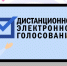 В Тульской области на выборах президента не будет использоваться дистанционное голосование - ГТРК