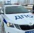 Инспекторы ДПС помогли замерзающим людям в неисправном авто в Тульской области - ИА Тульская пресса.Ru