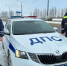 В морозную ночь у иногороднего жителя сломалась машина в Тульской области - Молодой коммунар