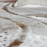 В Тульской области потеплеет до -3 градусов во вторник, 16 января - ИА Тульская служба новостей