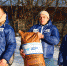 активисты мгер оказали помощь тульскому приюту для бездомных животных «любимец» картинки мгер - Молодая Гвардия