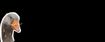 Тест123