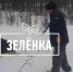 Тульские браконьеры убили беременную лосиху - ИА Тульская служба новостей