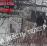 В Щекине на улице Емельянова нашли повешенный труп - ИА Тульская пресса.Ru