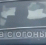 В Туле пушистый кот прокатился на багажнике машины - ТК Первый Тульский