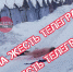 Труп женщины нашли на улице Токарева в Туле - Молодой коммунар