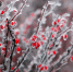 Погода 12 февраля: в Туле пасмурно и ледяные дожди - Myslo.Ru