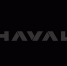 Новый логотип бренда HAVAL - Корпорация развития Тульской области