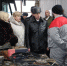 В Новомосковске заключённые будут в принудительном порядке чинить автобусы - Молодой коммунар