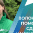 Жители Тульской области могут стать волонтерами благоустройства - ИА Тульская служба новостей