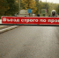В Тульской области закупят 10 легковых автомобилей для больниц - ИА Тульская пресса.Ru
