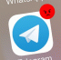 Туляки жалуются на сбои в работе Telegram - Молодой коммунар