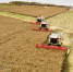 Посевная кампания 2024 года: планы группы компаний «ЖАК» - ИА Тульская пресса.Ru