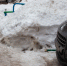wqeerw32424.png - Myslo.Ru