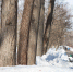 PAV-5720.jpg - Myslo.Ru