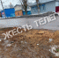 На улице Луначарского в Туле посадят молодые деревья - Myslo.Ru