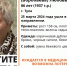 Волонтеры «ЛизаАлерт» разыскивают пропавшую в Туле 86-летнюю пенсионерку - ИА Тульская пресса.Ru
