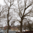 _ZYB9050.JPG - Myslo.Ru