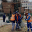 В Туле начали ухаживать за зелеными насаждениями - Молодой коммунар