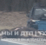 На трассе М-2 «Крым» в Чернском районе насмерть сбили лося - ИА Тульская служба новостей