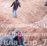 В Кондуках Тульской области отдыхающие упали на машине с горы в карьер - ИА Тульская служба новостей