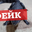 Пропавший в Туле крокодил оказался фейком - Myslo.Ru