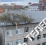 В Туле дерево рухнуло на детский интернат: разбиты окна и испорчен забор - ИА Тульская пресса.Ru
