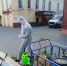 Деревья и кусты в модулях на проспекте Ленина в Туле обрабатывают от вредителей - ИА Тульская пресса.Ru