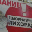 В Тульской области зарегистрировали 16 случаев заболевания мышиной лихорадкой - Молодой коммунар