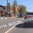 В Туле заметили гуляющего енота. Видео - ИА Тульская пресса.Ru