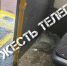 В тульском троллейбусе разбилось стекло: поранилась молодая девушка - ИА Тульская пресса.Ru