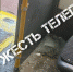 Тулячка, поранившаяся в троллейбусе о разбившееся стекло, отказалась от помощи медиков - ИА Тульская служба новостей
