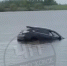 В Узловском районе в реке утонул Lexus - ТК Первый Тульский