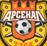 arsenal_logo - Tula-Sport.Ru