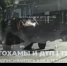 Туляк во время пробежки чуть не попал под колеса трактора - Молодой коммунар