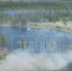 В Кимовском районе горят Лупишкинские болота - ТК Первый Тульский