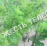 В Ефремове Тульской области задержали мужчину с ножом - ИА Тульская служба новостей