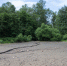 PAV-1525.jpg - Myslo.Ru