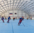 roller_hockey - Tula-Sport.Ru