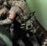 Росгвардия опубликовала видео с задержанием мужчин, ограбивших ювелирный магазин в Узловой - ИА Тульская служба новостей